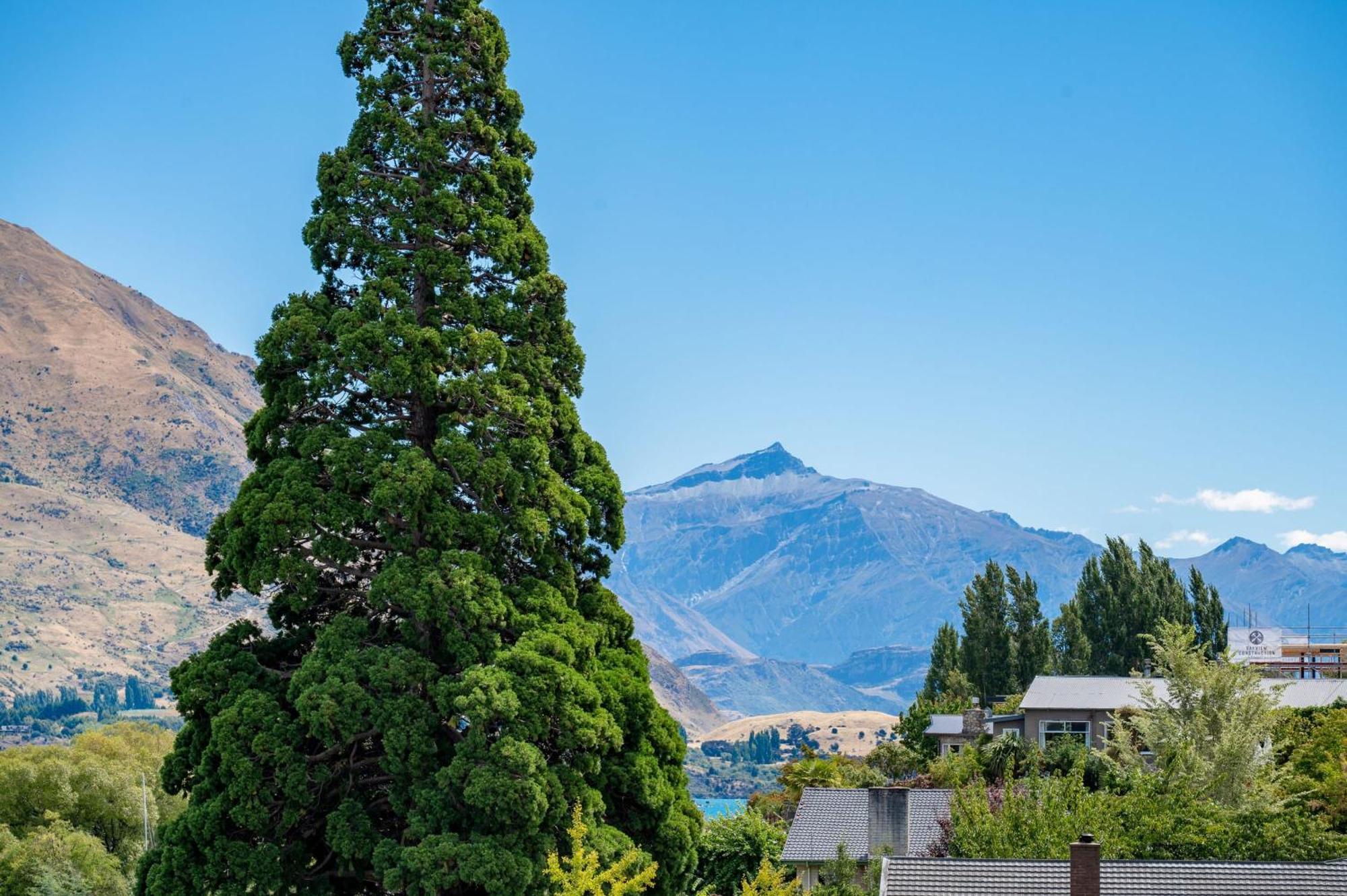 Lakeside Luxury 2 Bedroom Apartment Wanaka Exterior foto